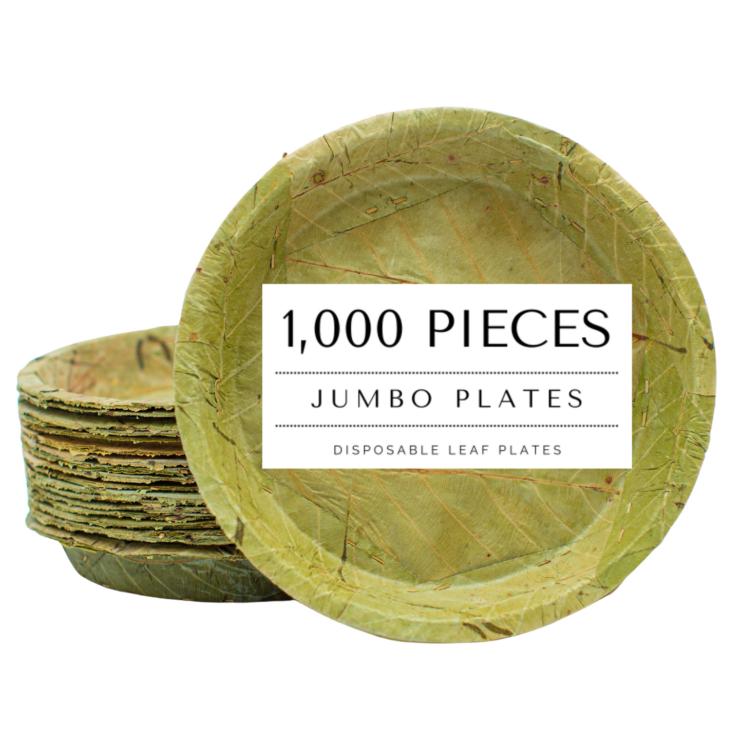Extra Large Sal Leaf Plates - 27cm / 10.5 inch diameter