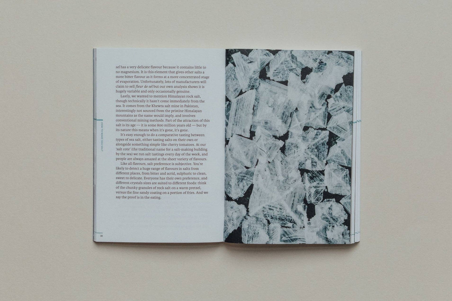 Open book with text on one page and black and white abstract pattern on the other, against a beige background.