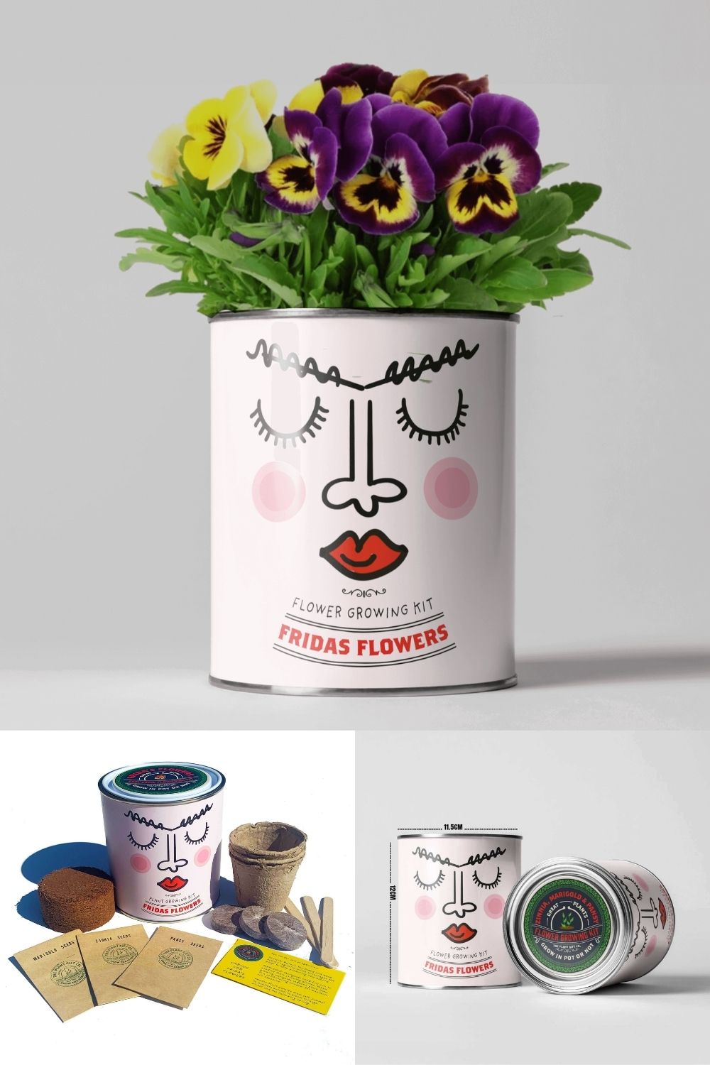 Frida's Flowers Bundle x2 . Eco Grow Your Own Plant, Gardening Kit.