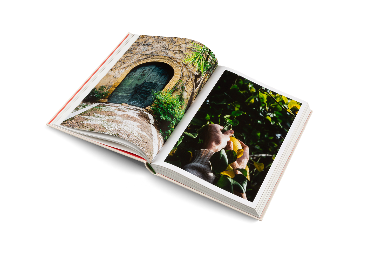 Open book showing images of a natural landscape with a tree and a person.