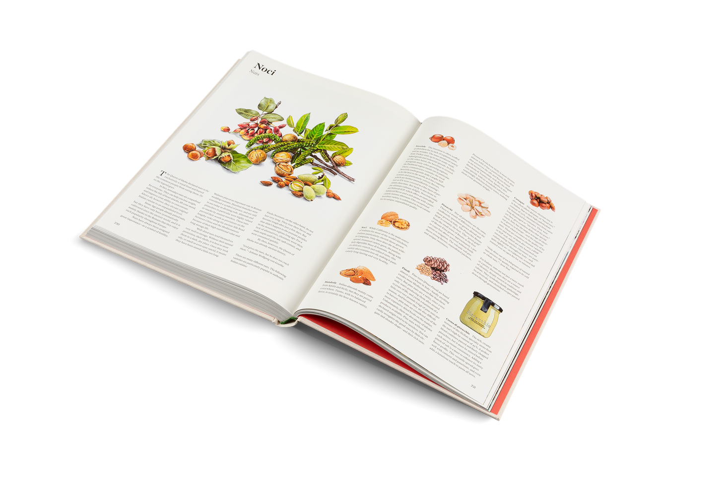 Originale: Recipes and Essentials of Italian Cooking