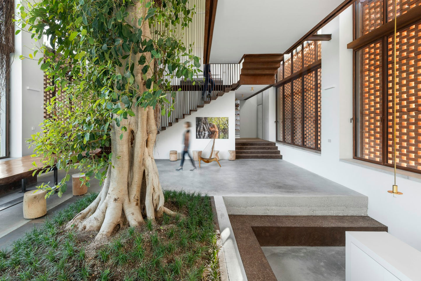 Modern house interior with a large tree in the center, surrounded by greenery.