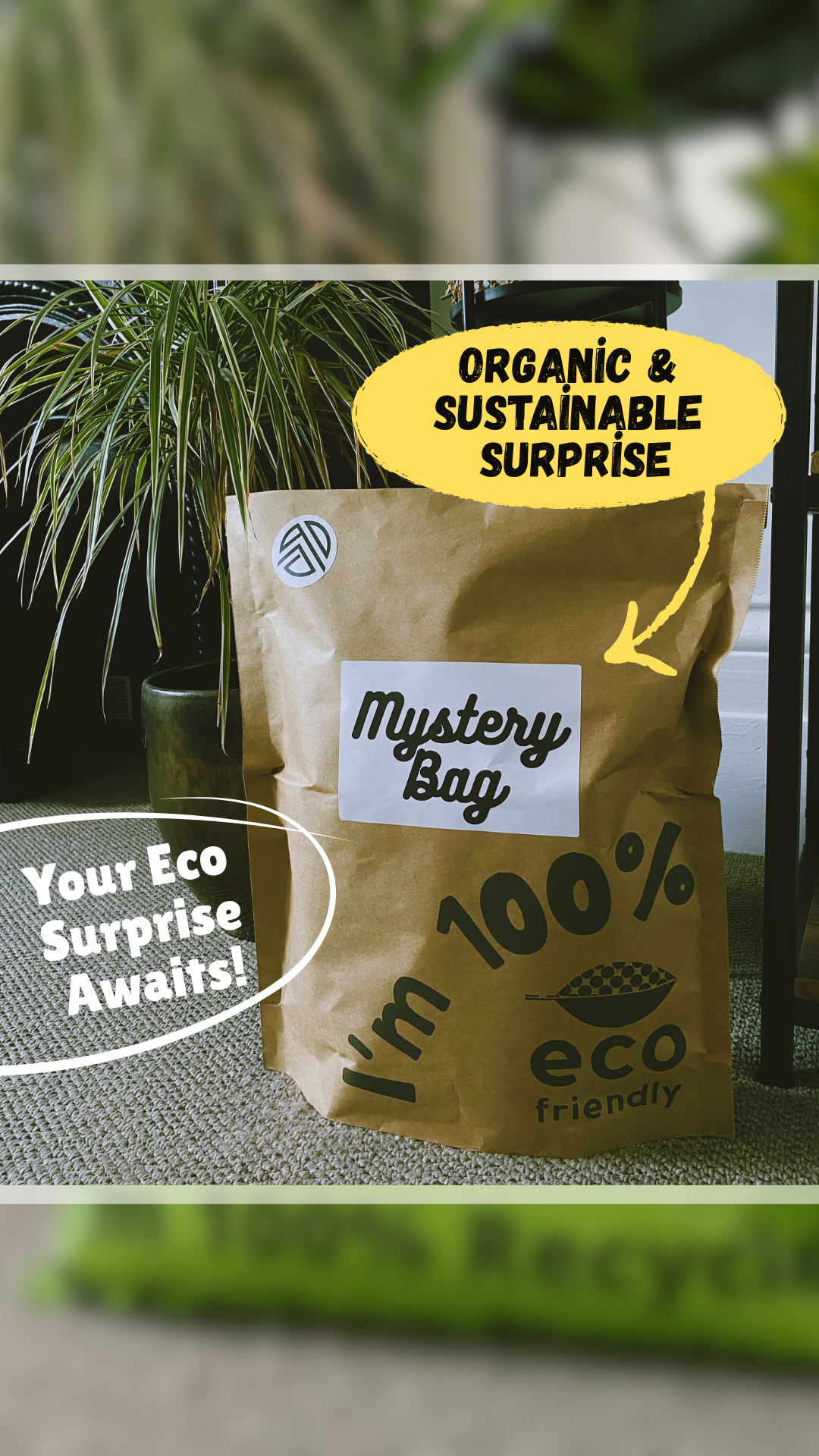 Brown paper bag labeled 'Mystery Bag' with 'I'm 100% eco friendly' text, set against a blurred indoor plant background.