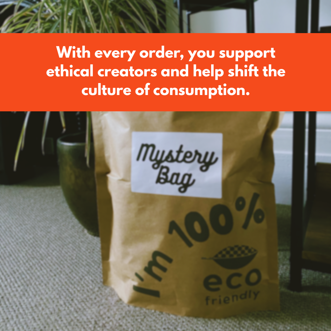 Brown paper bag labeled 'Mystery Bag' with 'eco friendly' text on a carpeted floor.