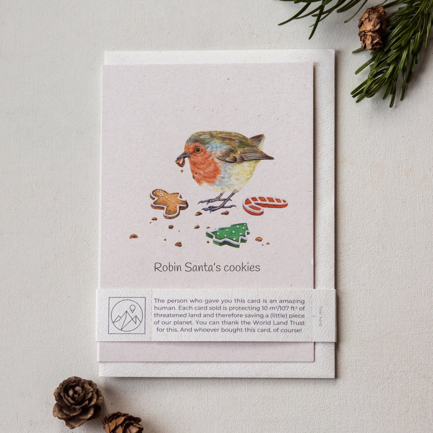 Animal Lover Charity Greeting Card featuring a robin with cookies, promoting eco-friendly giving from our UK shop.