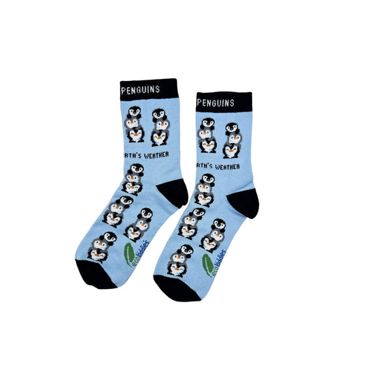 Pair of socks with penguin design on a light blue background