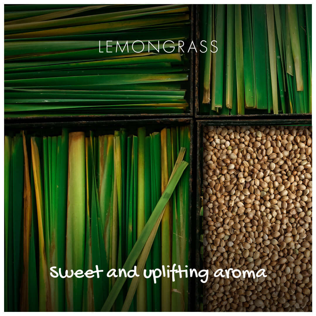 Lemongrass Natural Soap ingredients featuring fresh lemongrass and seeds, promoting a sweet and uplifting aroma.