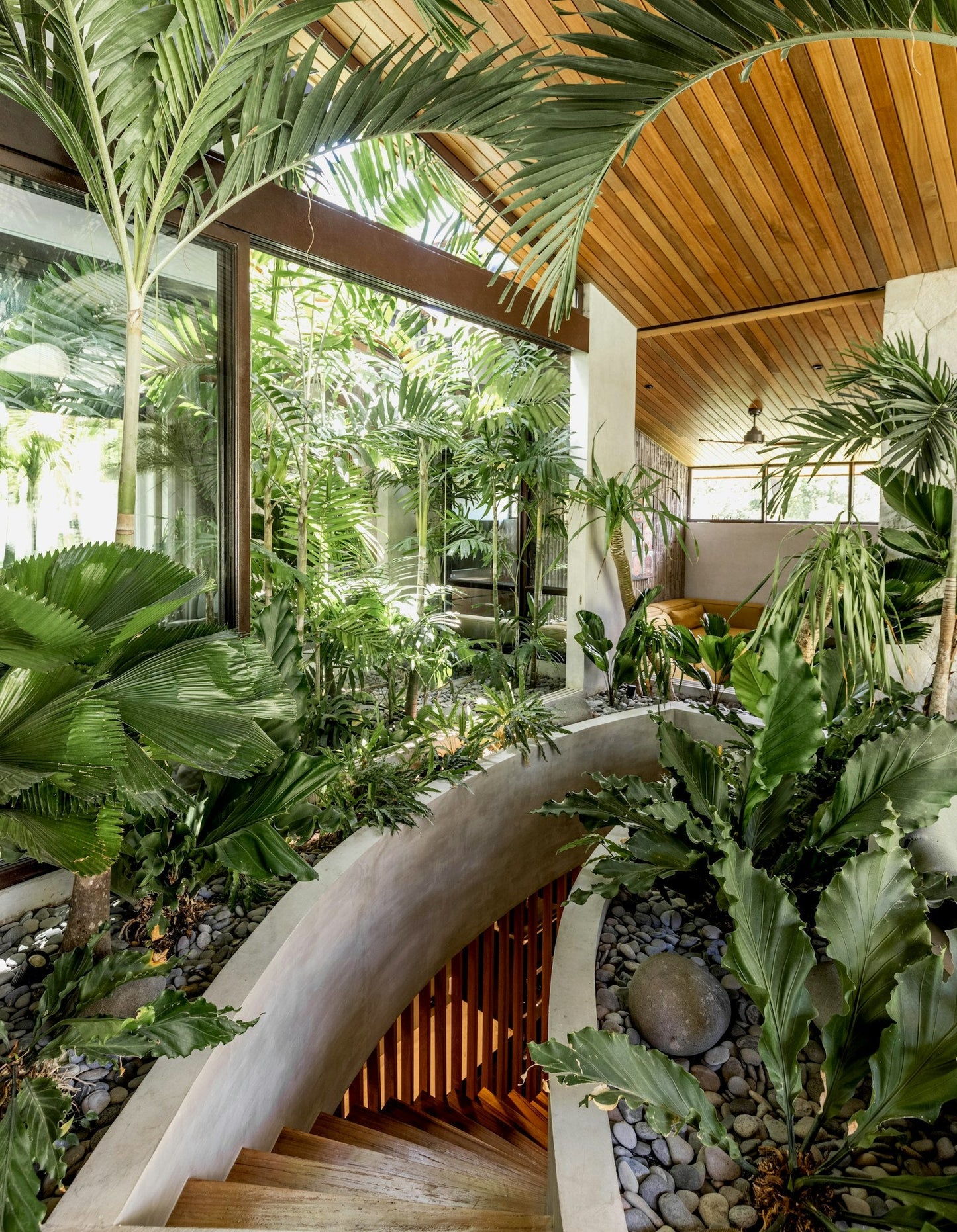 Indoor garden with curved staircase and wooden ceiling
