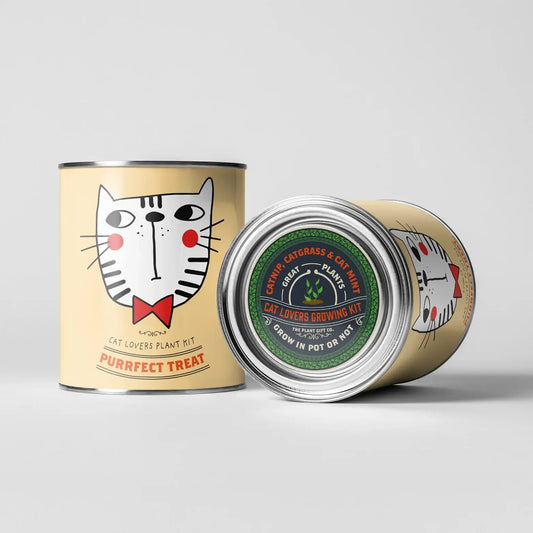 Purrfect Treat Eco Grow Your Own Plant Kit, a sustainable gardening bundle designed for cat owners to cultivate fresh treats at home.