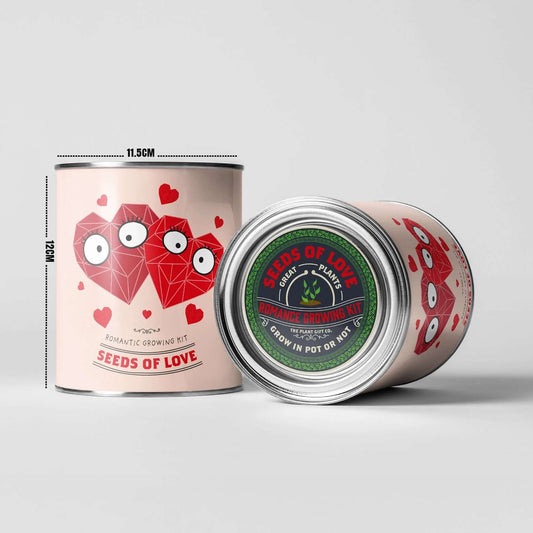 Seeds of Love Eco Grow Your Own Plant Kit from Eco-Friendly-Online-Shop, offering a heartfelt gardening experience for sustainable homes.