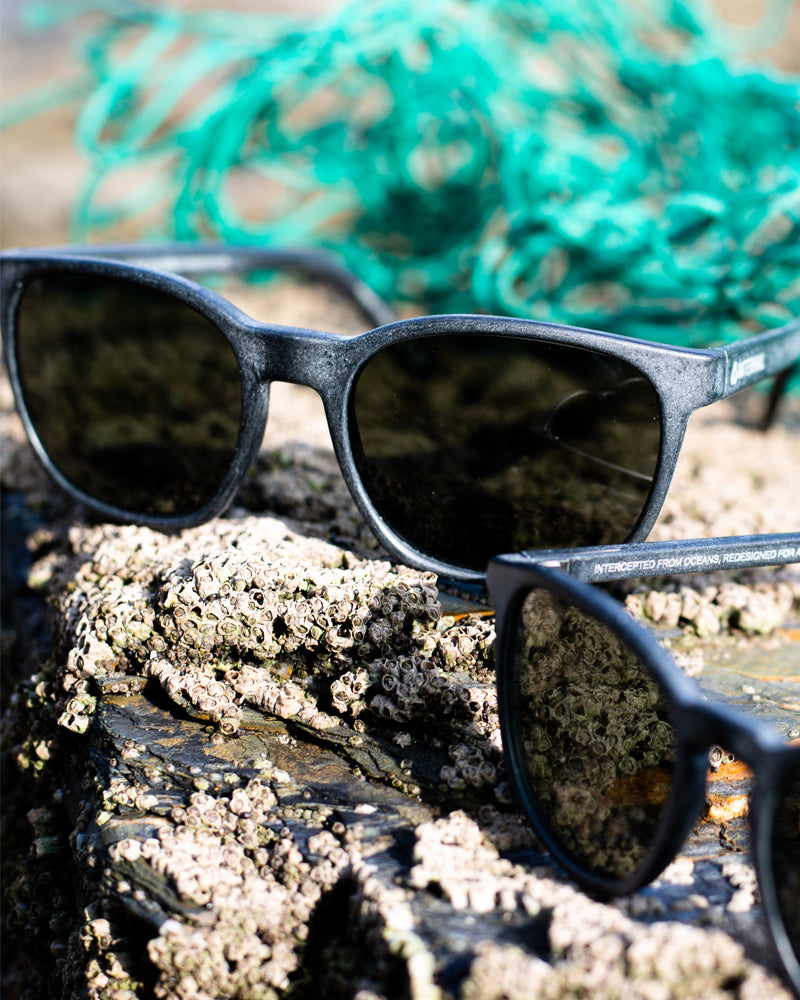 POLARISED GREY LENS SUNGLASSES BY WATERHAUL
