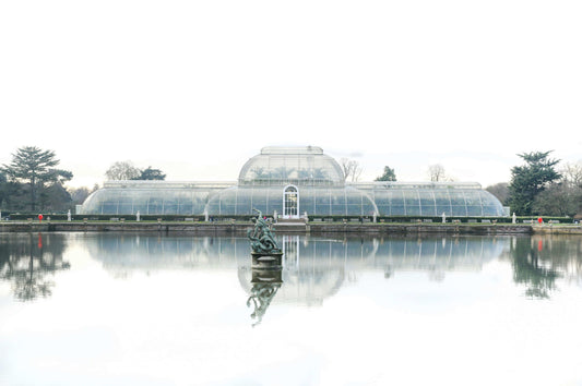 Kew Gardens’ Carbon Garden: A Living Exhibition Tackling the Climate Crisis reflected in the serene water.