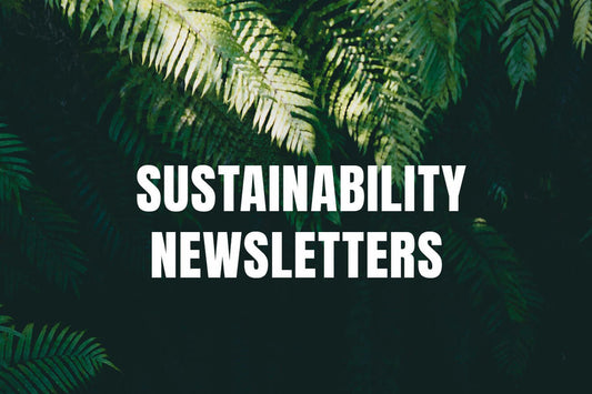 Sustainability newsletters against a backdrop of lush green ferns, embodying eco-friendly themes.