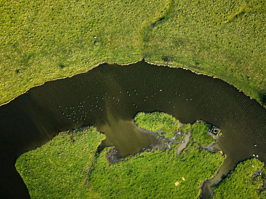 Aerial view of a river surrounded by lush greenery, illustrating the impacts of water pollution related to the UK's water crisis.