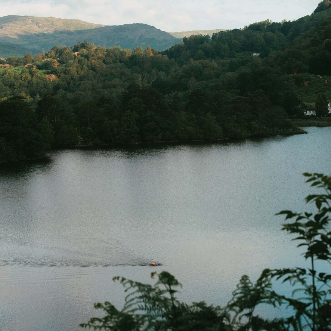 A serene view of a swimmer in a tranquil lake amidst lush greenery in the Lake District, perfect for where to wild swim in the Lake District.