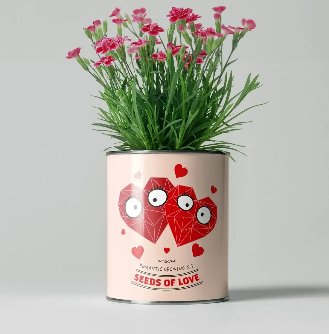 The Future of Gifting: How The Plant Gift Co is Redefining Sustainable Presents with a romantic plant growing kit.