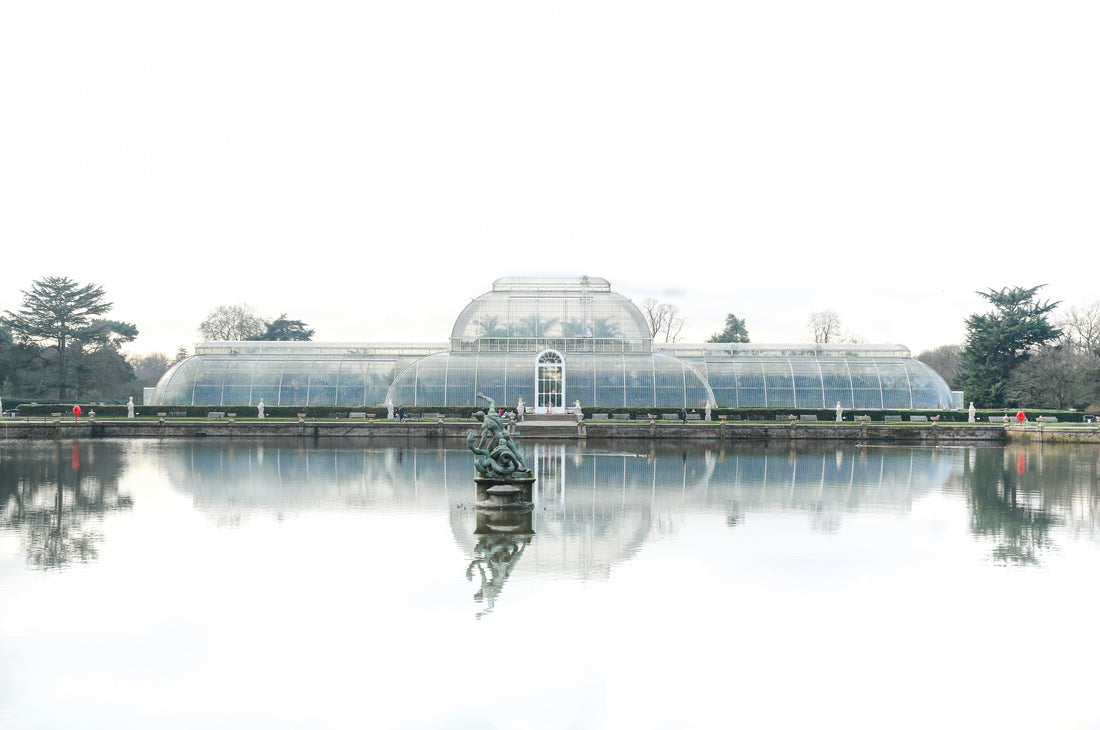 Kew Gardens’ Carbon Garden: A Living Exhibition Tackling the Climate Crisis