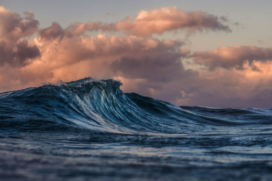 UK's 2025 Marine Strategy: Comprehensive Measures for Sustainable Seas and Biodiversity Conservation