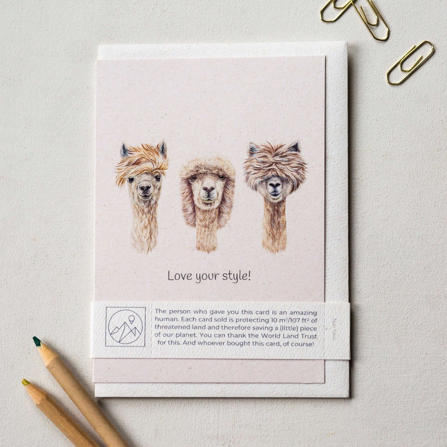 Animal Lover Charity Greeting Card featuring cute illustrated llamas with the text 'Love your style!'. Eco Friendly Online Shop in UK, Brighton and Hove.