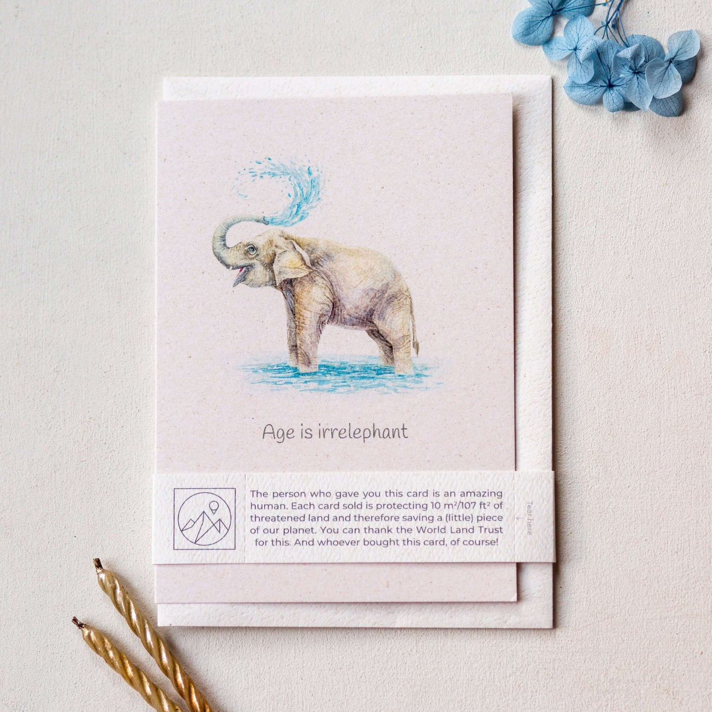 Animal Lover Charity Greeting Card featuring an illustrated elephant, promoting eco-friendly awareness in Brighton and Hove.