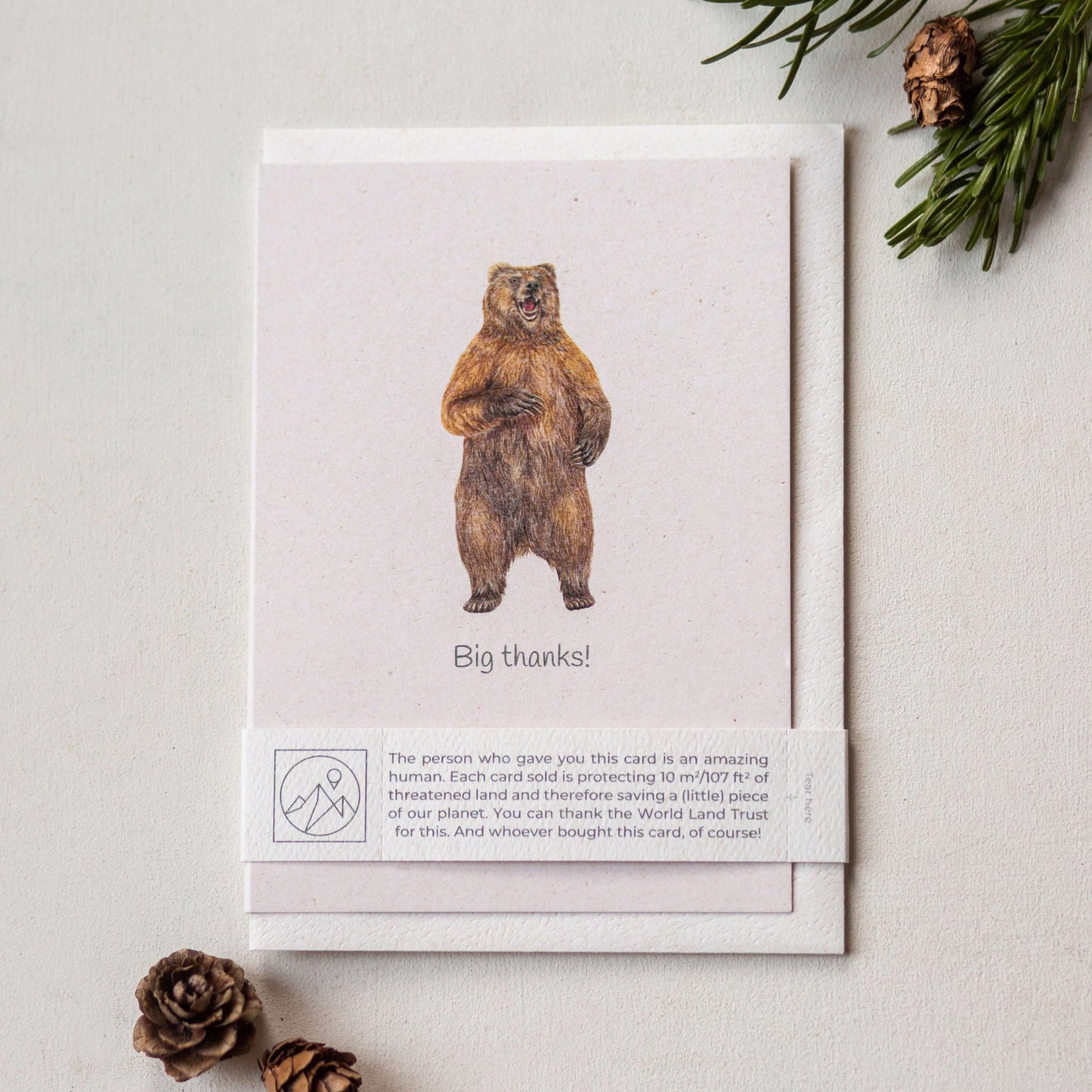 Animal Lover Charity Greeting Card featuring a bear illustration with a message saying 'Big thanks!'