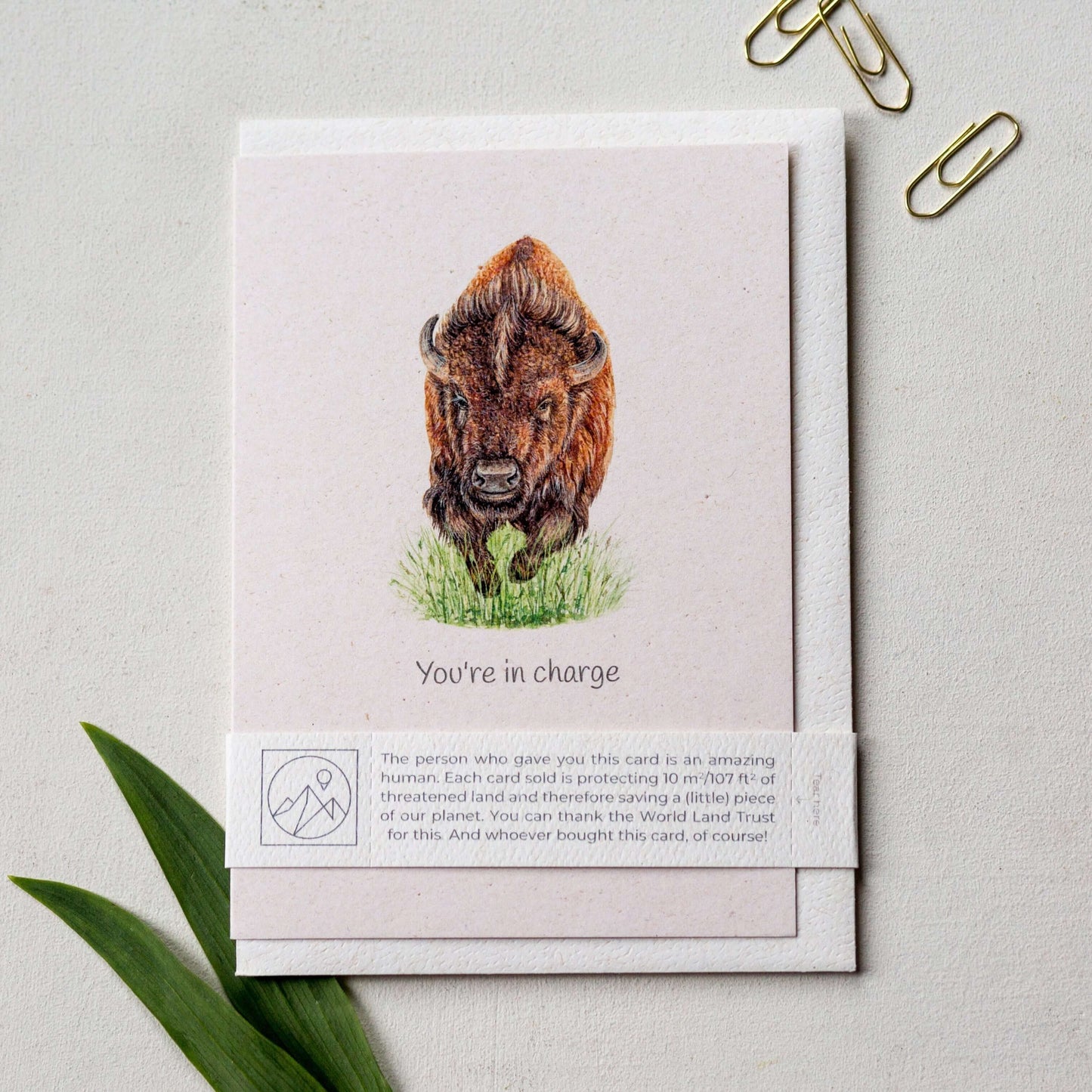 Animal Lover Charity Greeting Card with a bison illustration, promoting eco-friendly initiatives in Brighton and Hove, UK.