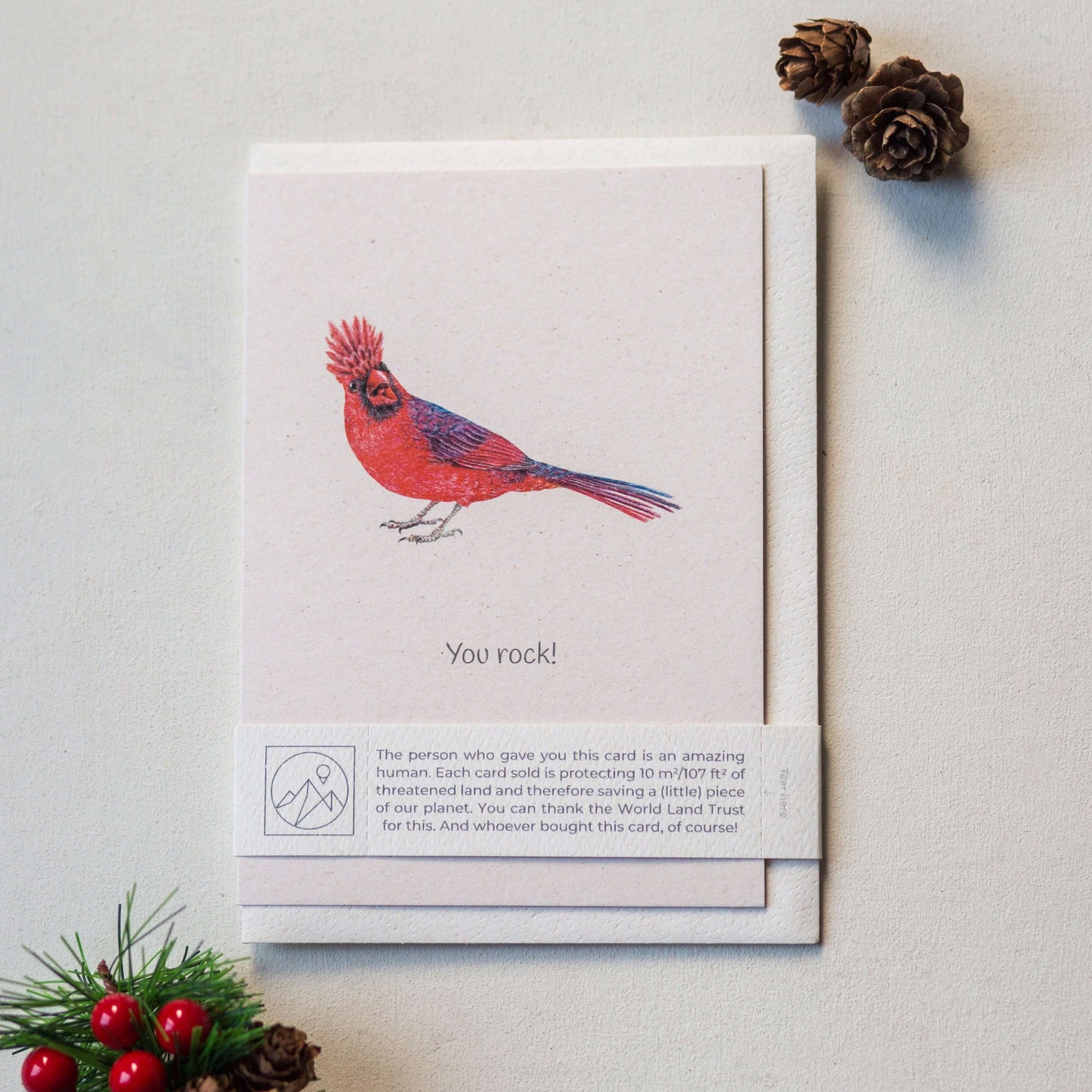 Animal Lover Charity Greeting Card featuring a colorful bird illustration with the caption 'You rock!'}