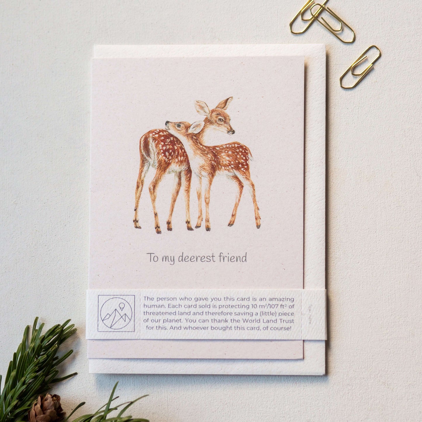 Animal Lover Charity Greeting Card featuring two fawns on a rustic background, perfect for eco-friendly gifting in the UK.