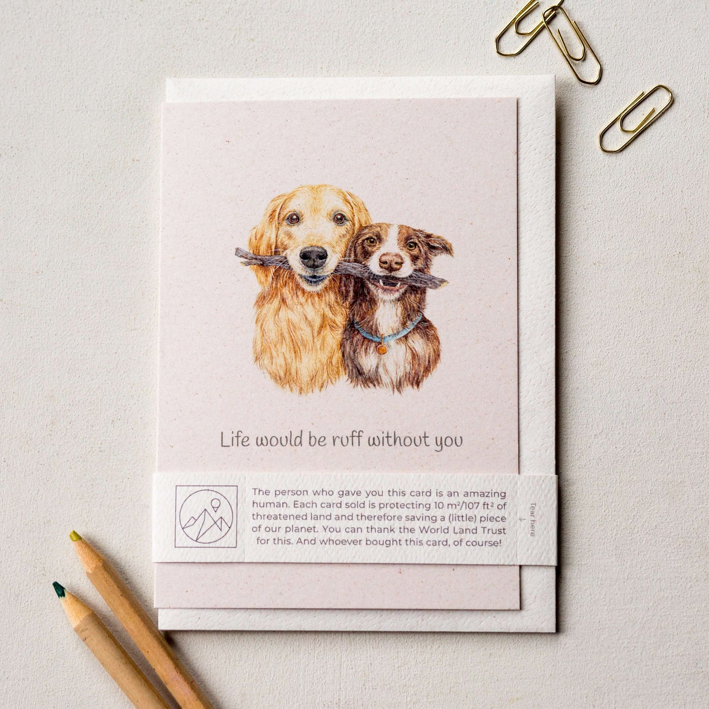 Animal Lover Charity Greeting Card featuring two dogs with a stick, promoting eco-friendly values in Brighton and Hove.