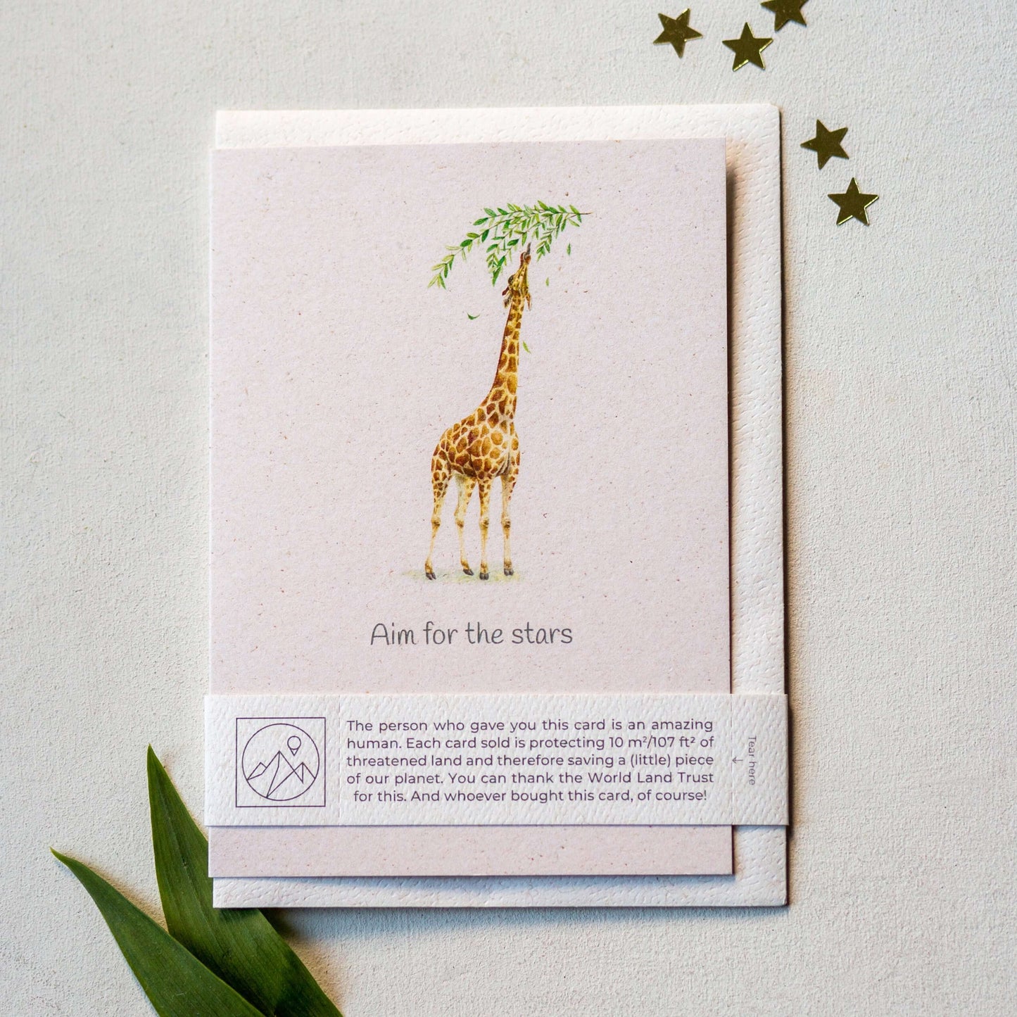 Animal Lover Charity Greeting Card featuring a giraffe with text 'Aim for the stars', eco Friendly Online Shop in Brighton and Hove.