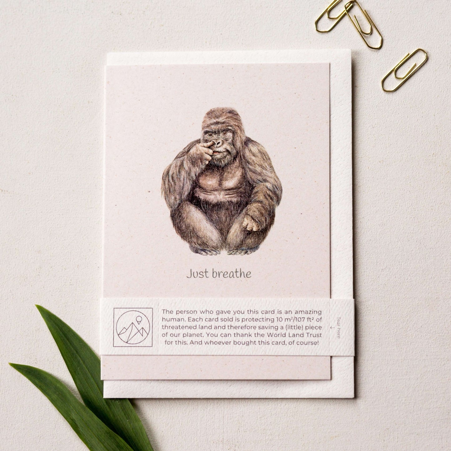 Animal Lover Charity Greeting Card featuring a gorilla illustration with the text 'Just breathe' from our eco friendly online shop in Brighton and Hove.