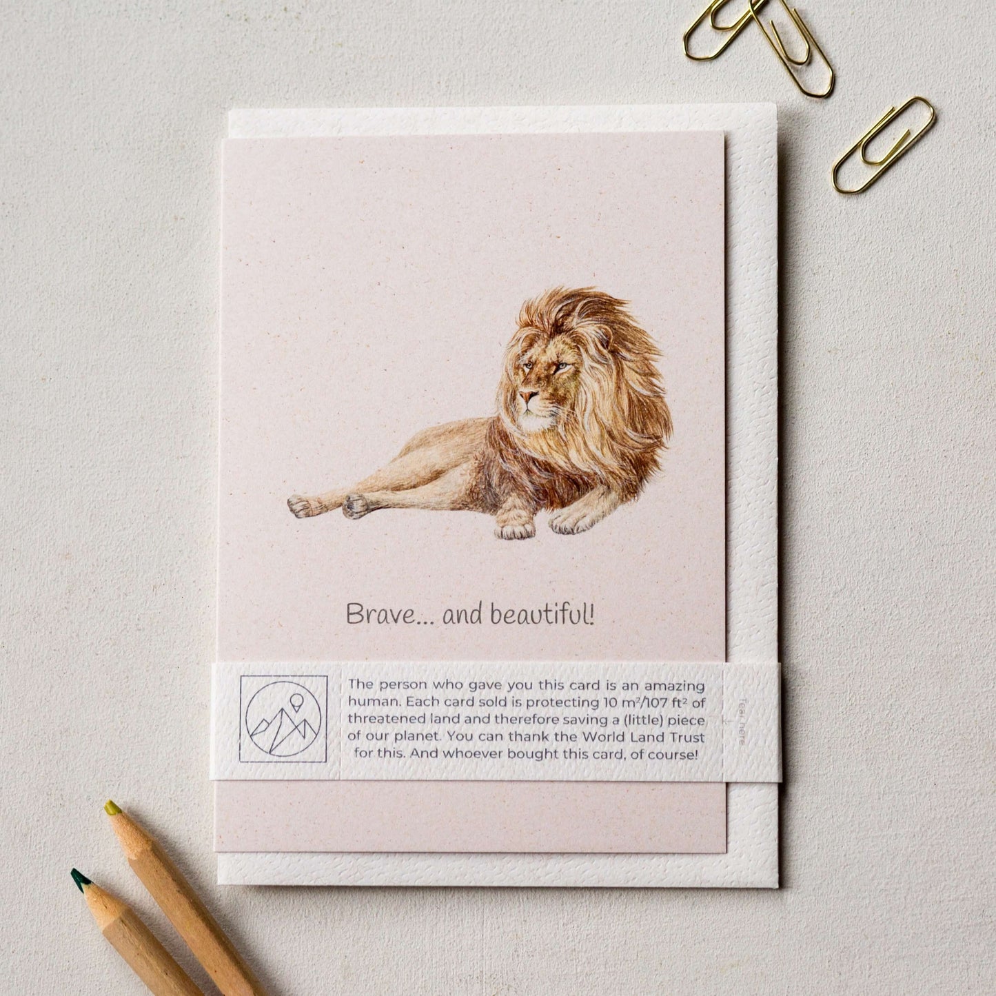 Animal Lover Charity Greeting Card featuring a lion with text 'Brave... and beautiful!' from our eco Friendly Online Shop in UK, Brighton and Hove.