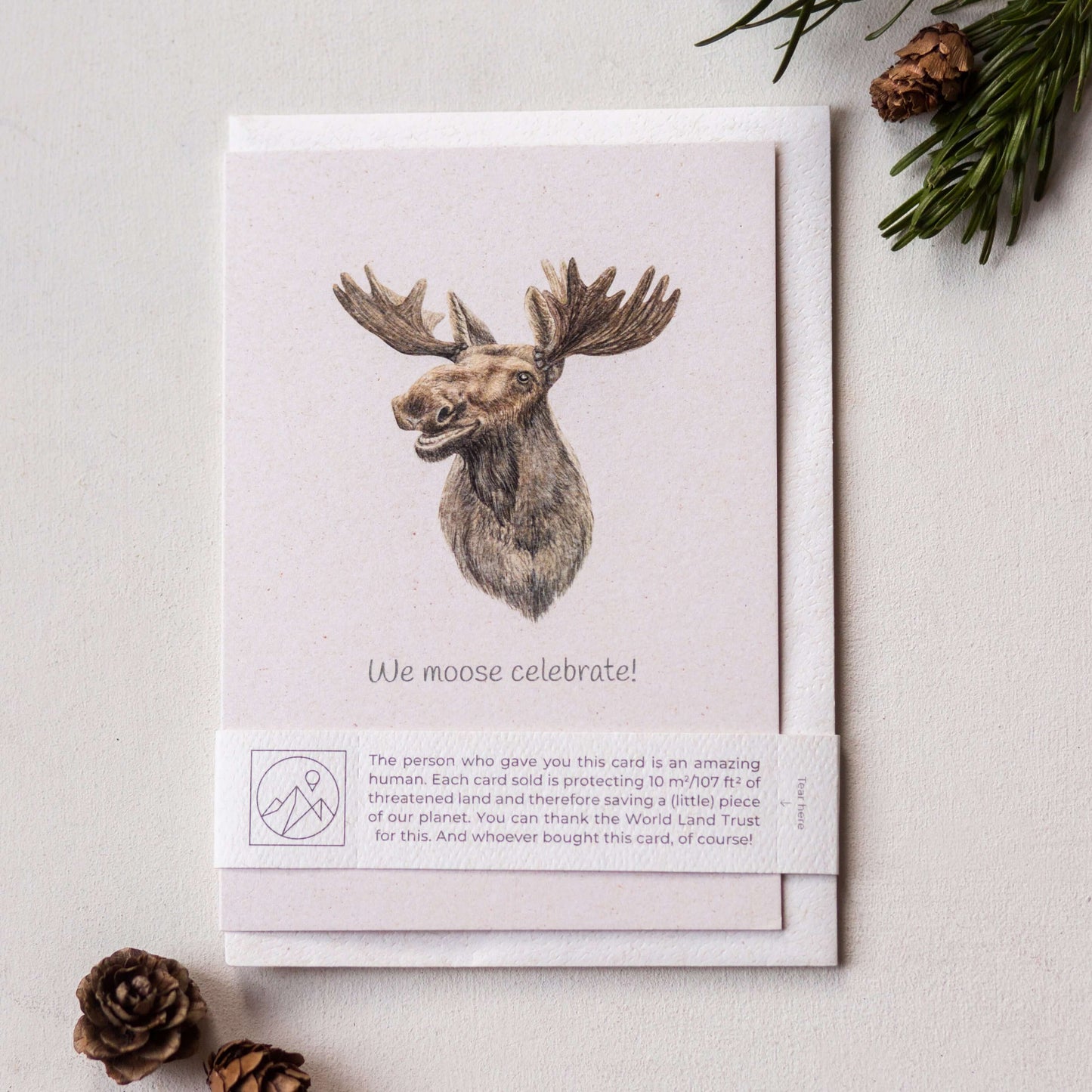 Animal Lover Charity Greeting Card featuring a moose illustration with the text 'We moose celebrate!'. Eco-friendly design.