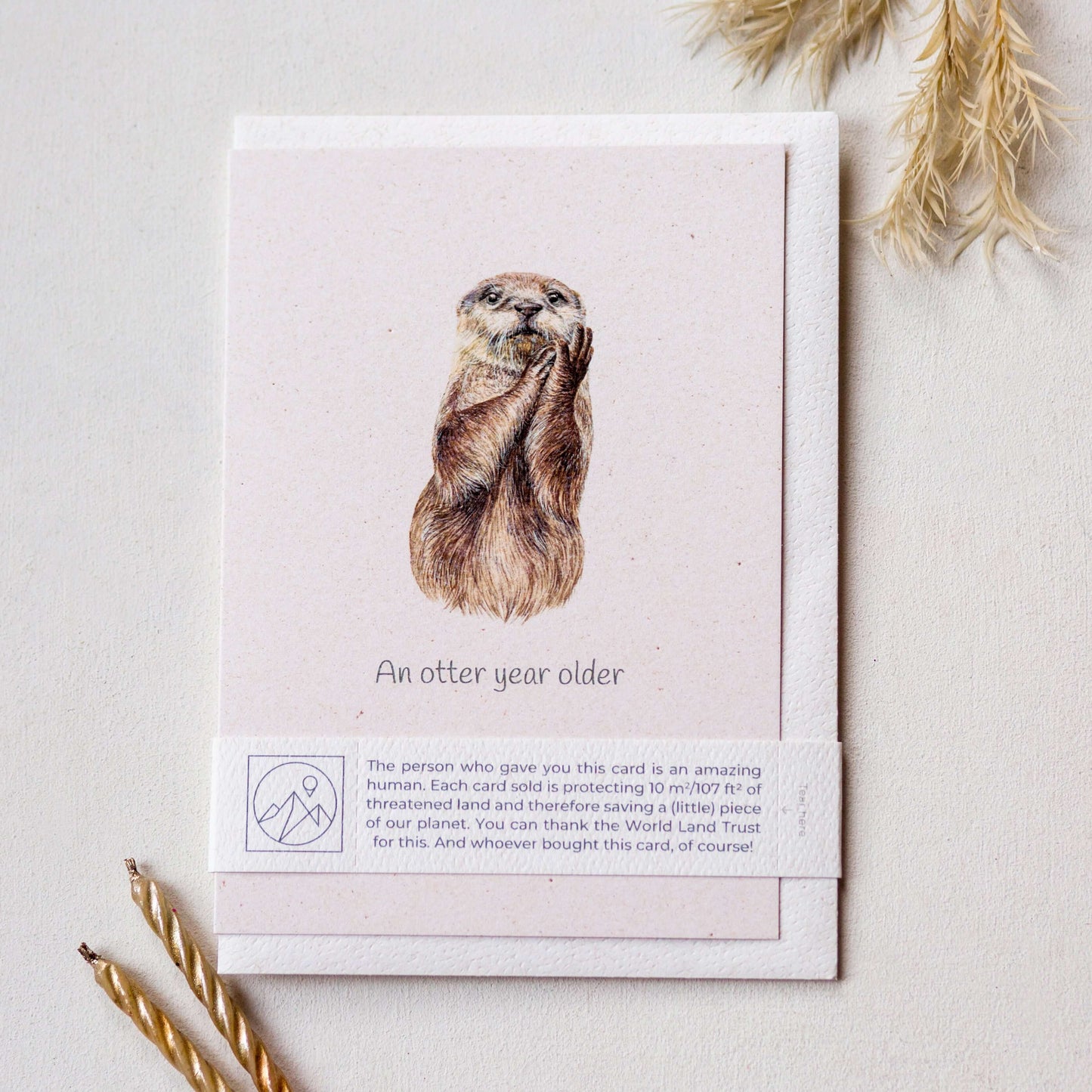 Animal Lover Charity Greeting Card featuring an otter illustration with a heartfelt message.