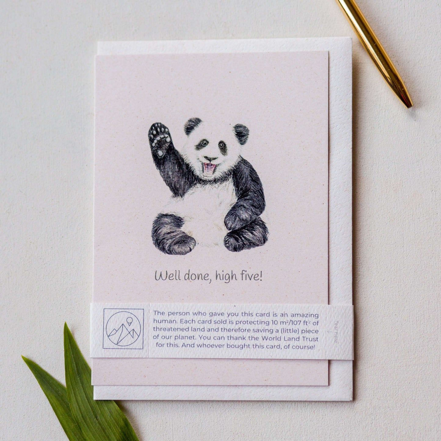 Animal Lover Charity Greeting Card featuring a panda waving and promoting eco-friendly initiatives in Brighton and Hove.