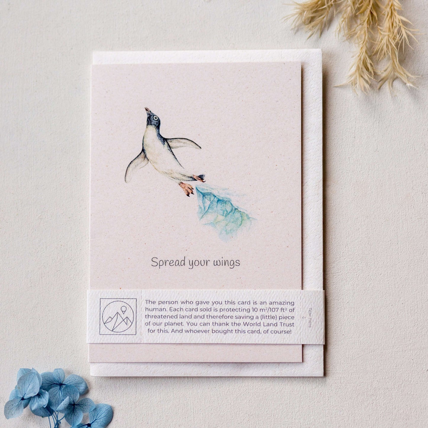 Animal Lover Charity Greeting Card featuring a penguin illustration with the phrase 'Spread your wings' for eco-friendly gifting.