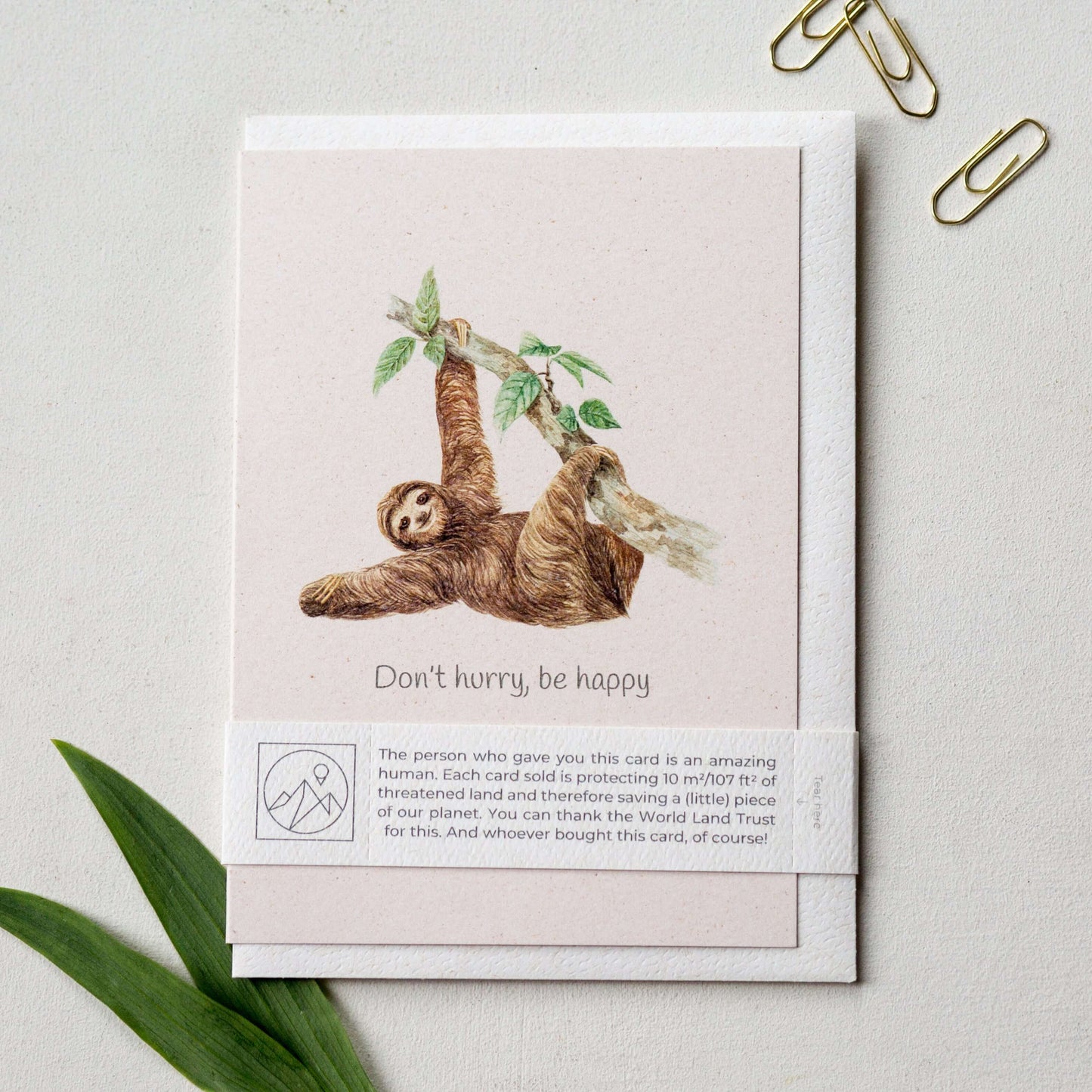 Animal Lover Charity Greeting Card featuring a sloth and eco-friendly design from our online shop in Brighton and Hove.