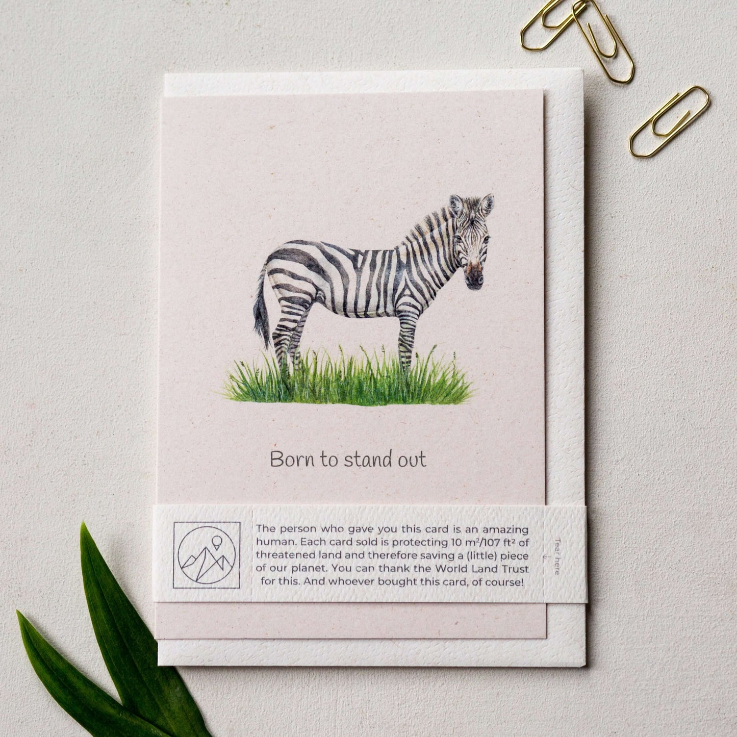 Animal Lover Charity Greeting Card featuring a zebra on eco-friendly paper, celebrating wildlife and giving back.