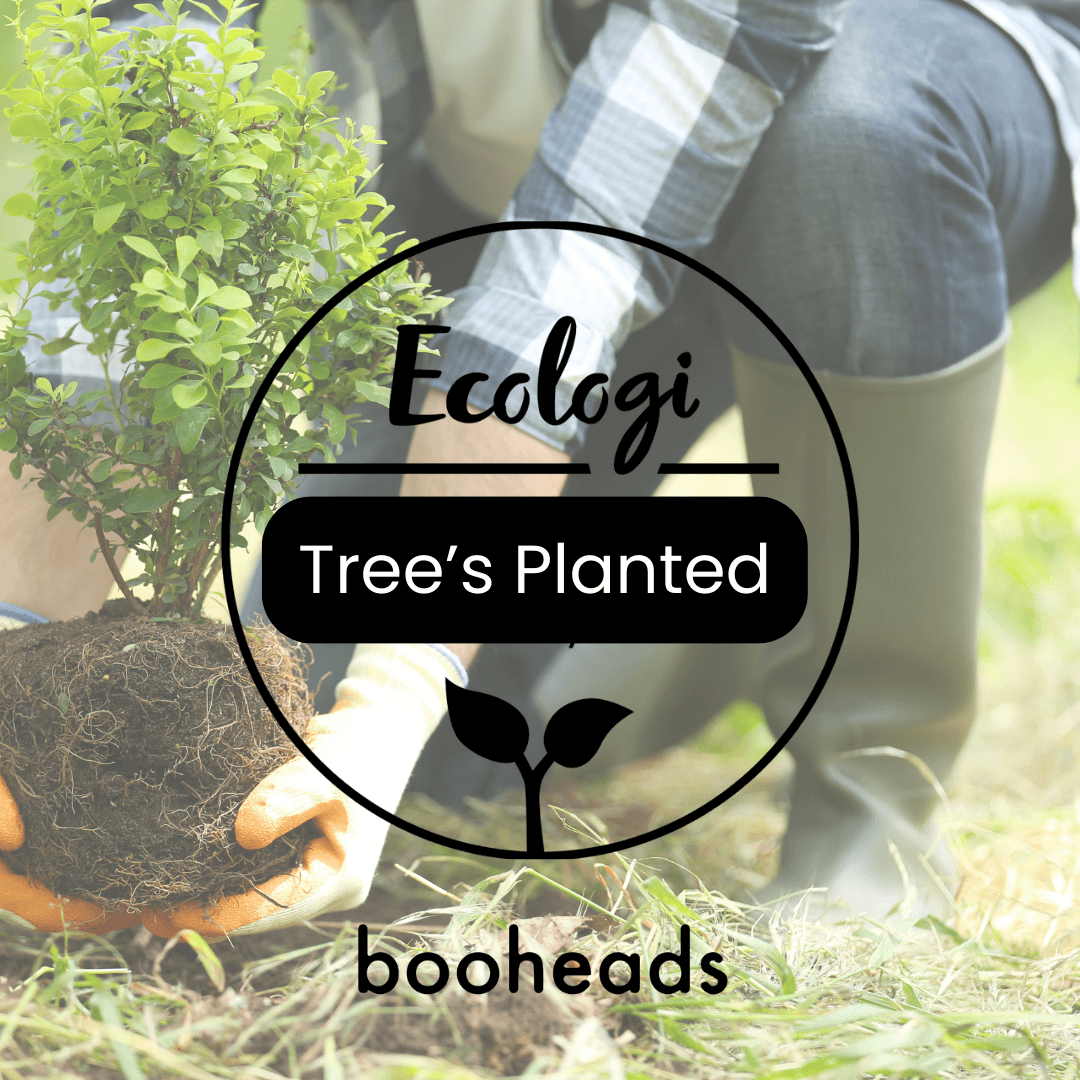 Person holding a potted plant with 'Ecologi' and 'booheads' branding.