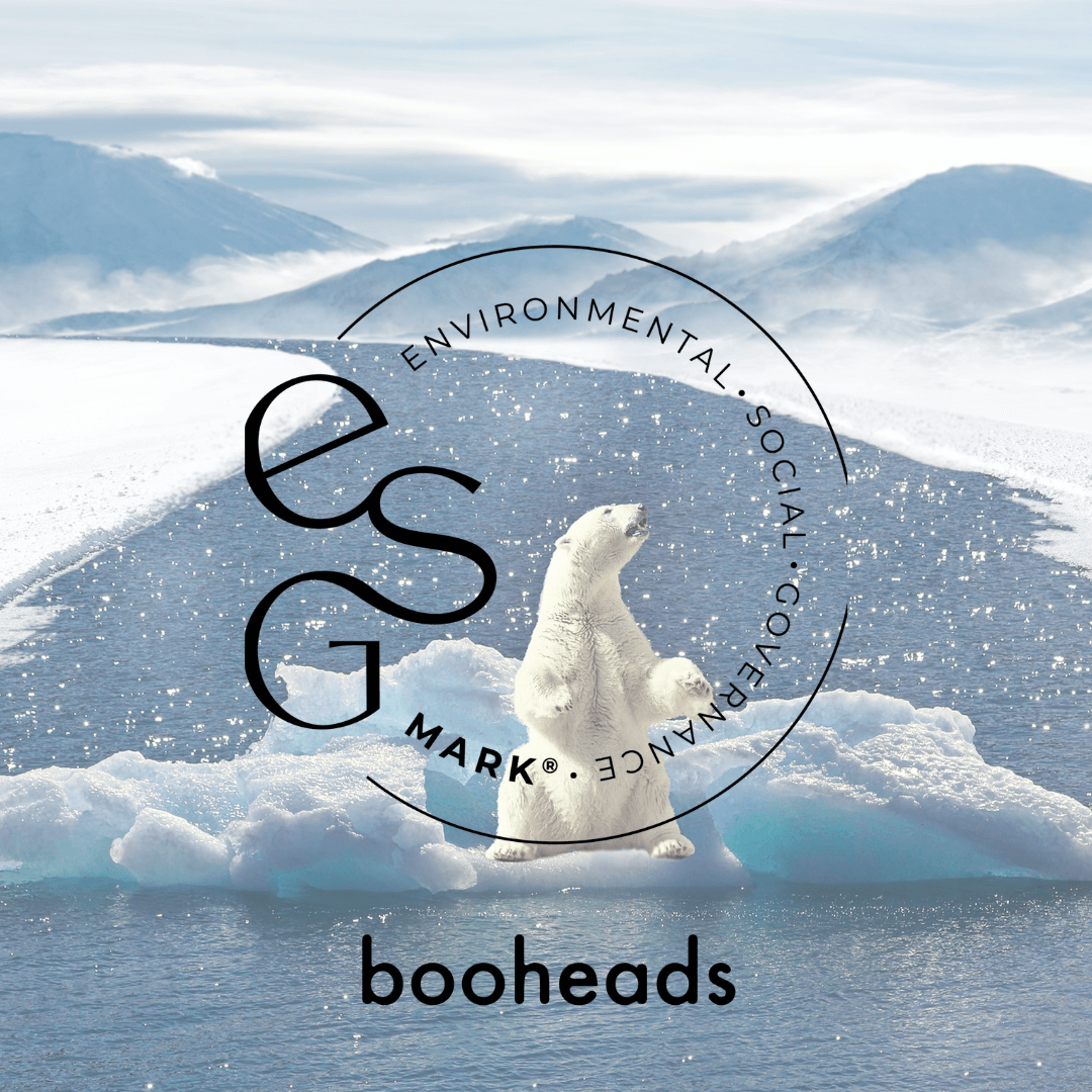 Polar bear on ice with 'booheads' logo and 'Environmental Social Governance' text overlay