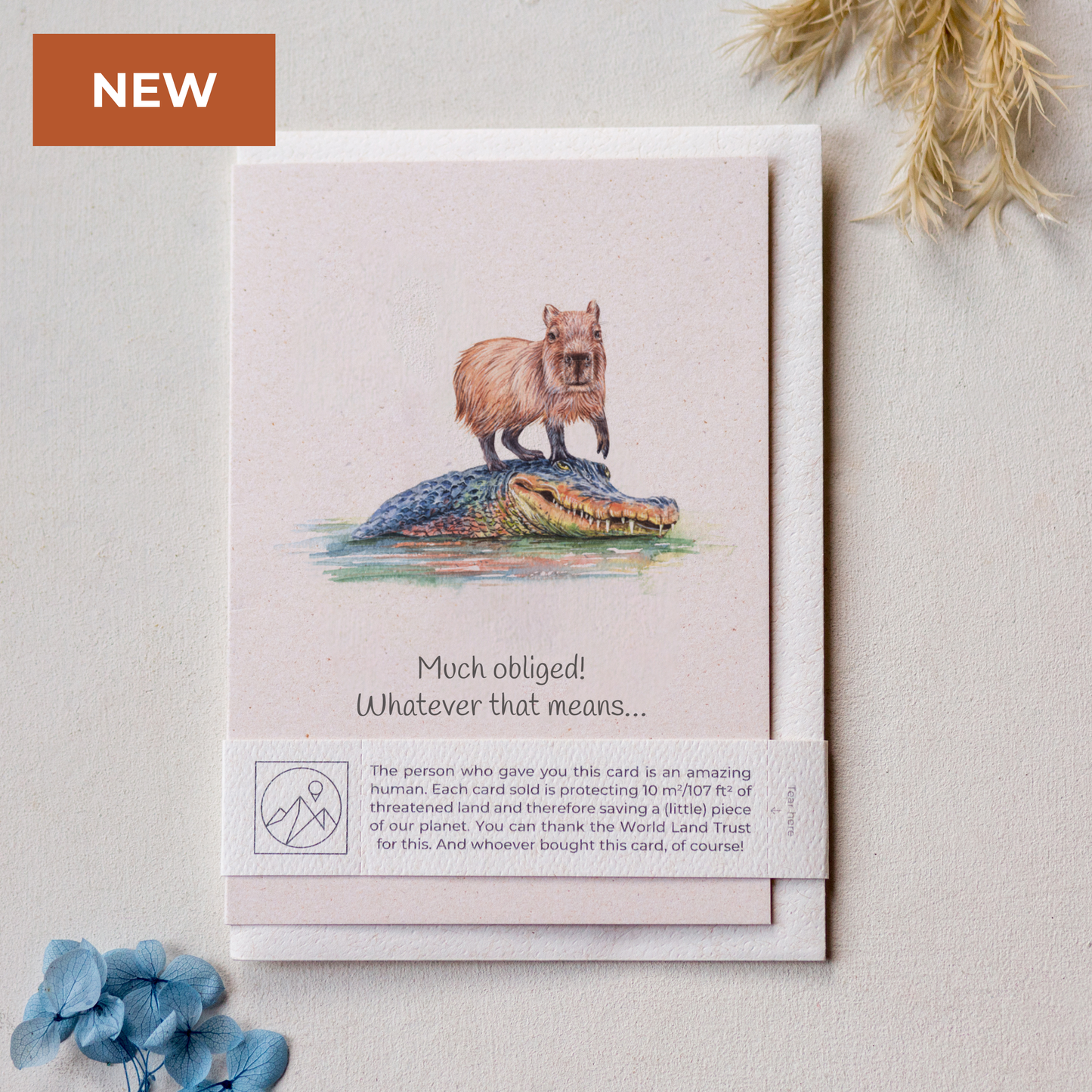 Animal Lover Charity Greeting Card featuring a capybara on a crocodile, promoting eco-friendly values in Brighton and Hove.