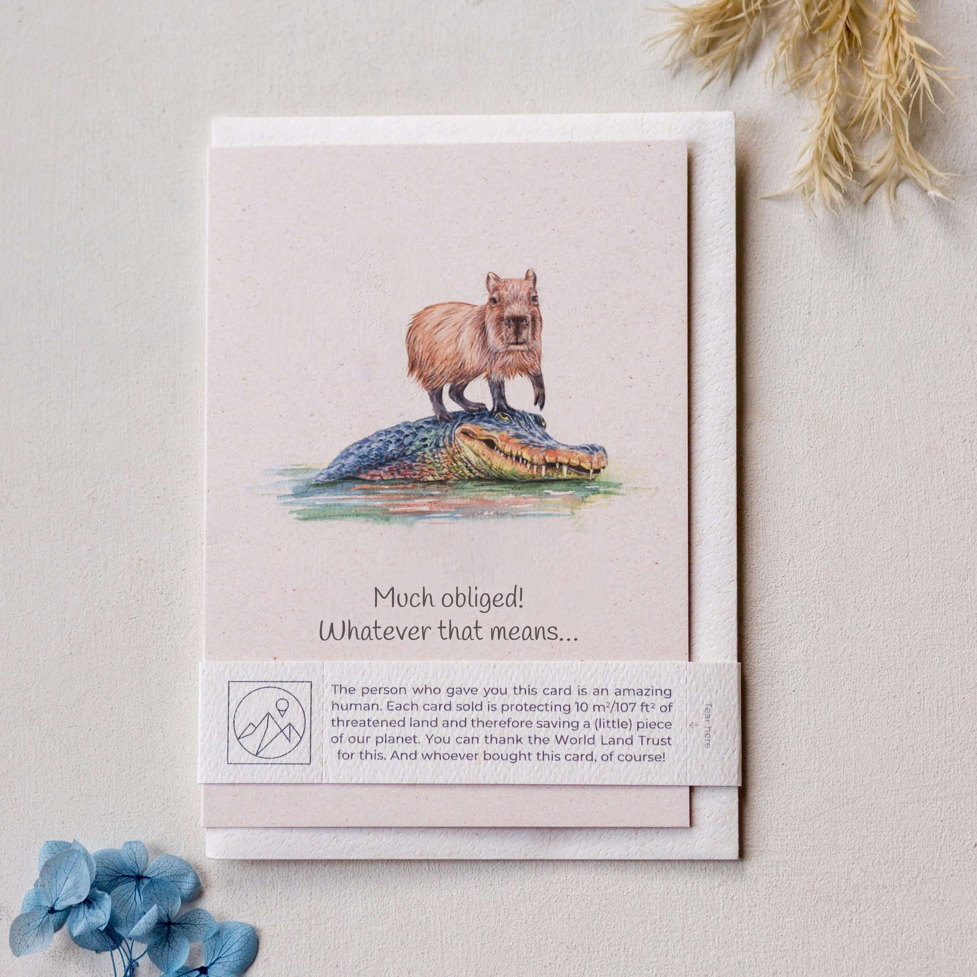Animal Lover Charity Greeting Card featuring a capybara on an alligator with a nature-themed design.