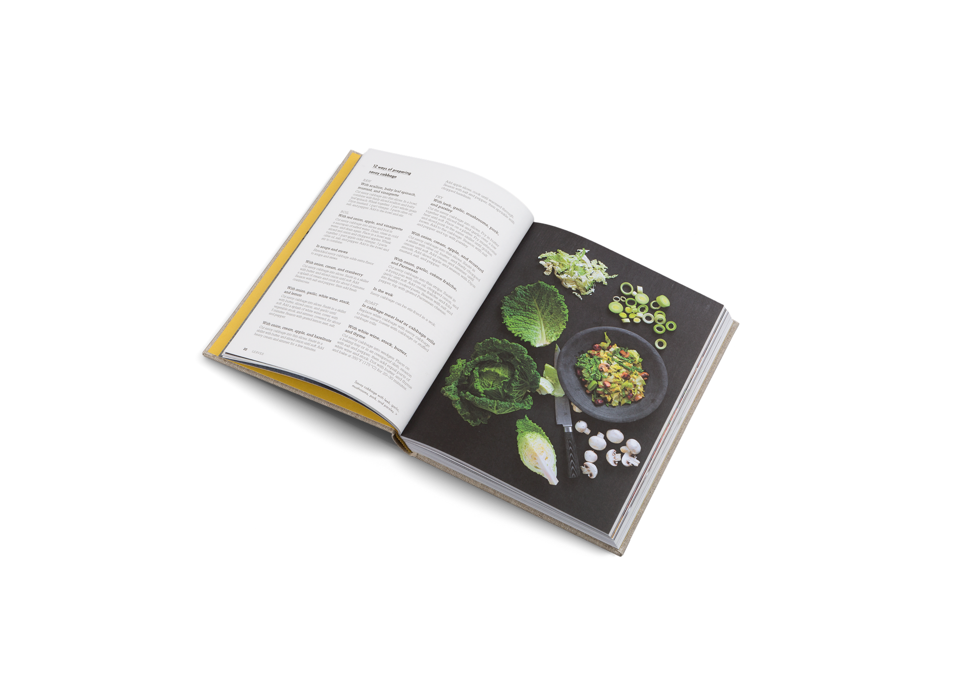 Open cookbook with a page showing a dish and another with text on a white background