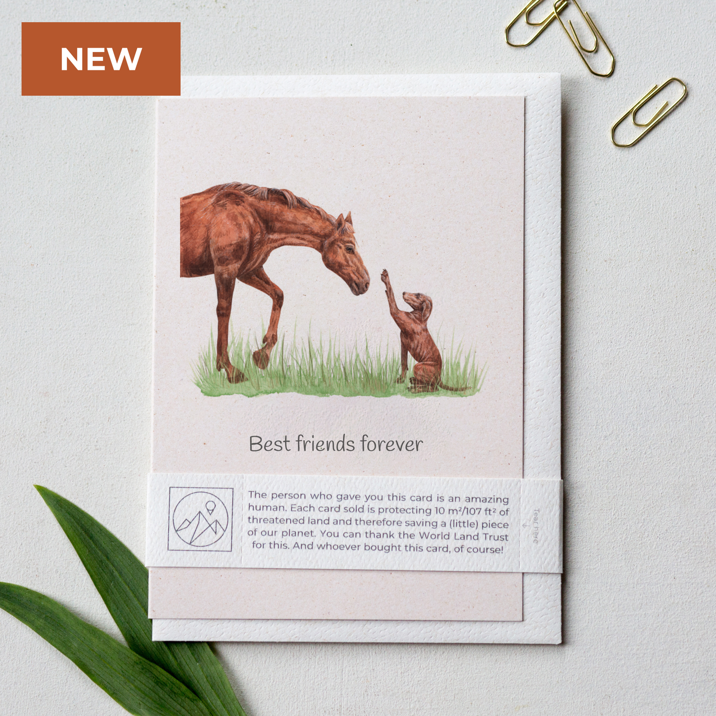 Animal Lover Charity Greeting Card featuring a horse and child illustration, eco Friendly Online Shop in Brighton and Hove, UK.
