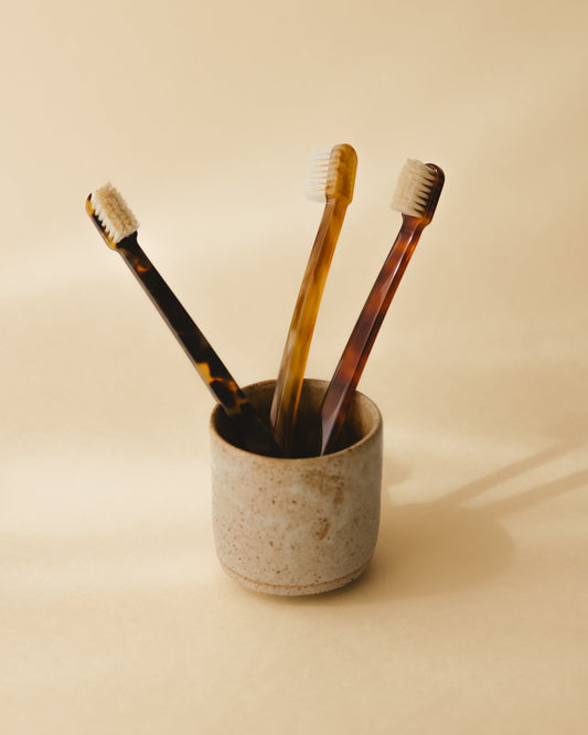 Three Koh-i-Noor Coccola Toothbrushes in a minimalist holder on a beige background.