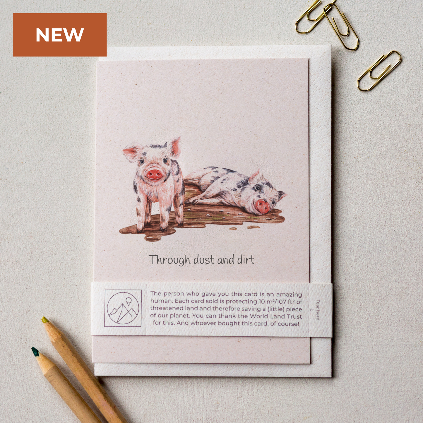 Animal Lover Charity Greeting Card featuring pigs, eco Friendly Online Shop in Brighton and Hove, UK.