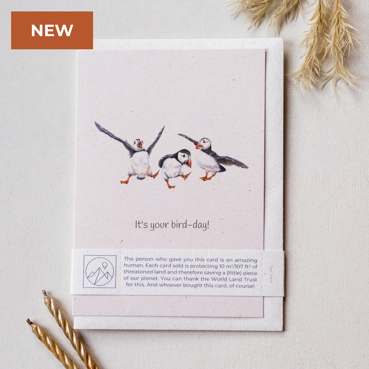 Animal Lover Charity Greeting Card featuring happy puffins with the text 'It's your bird-day!'