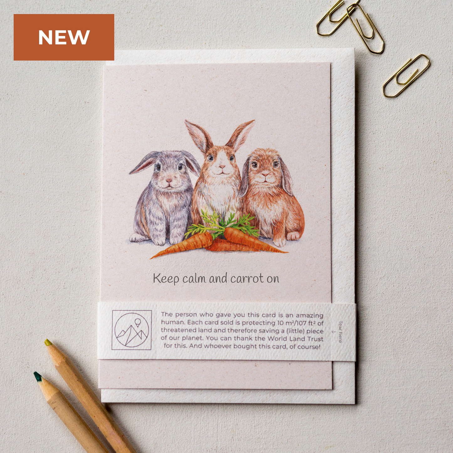 Animal Lover Charity Greeting Card featuring three adorable rabbits with a carrot, promoting eco-friendly kindness.