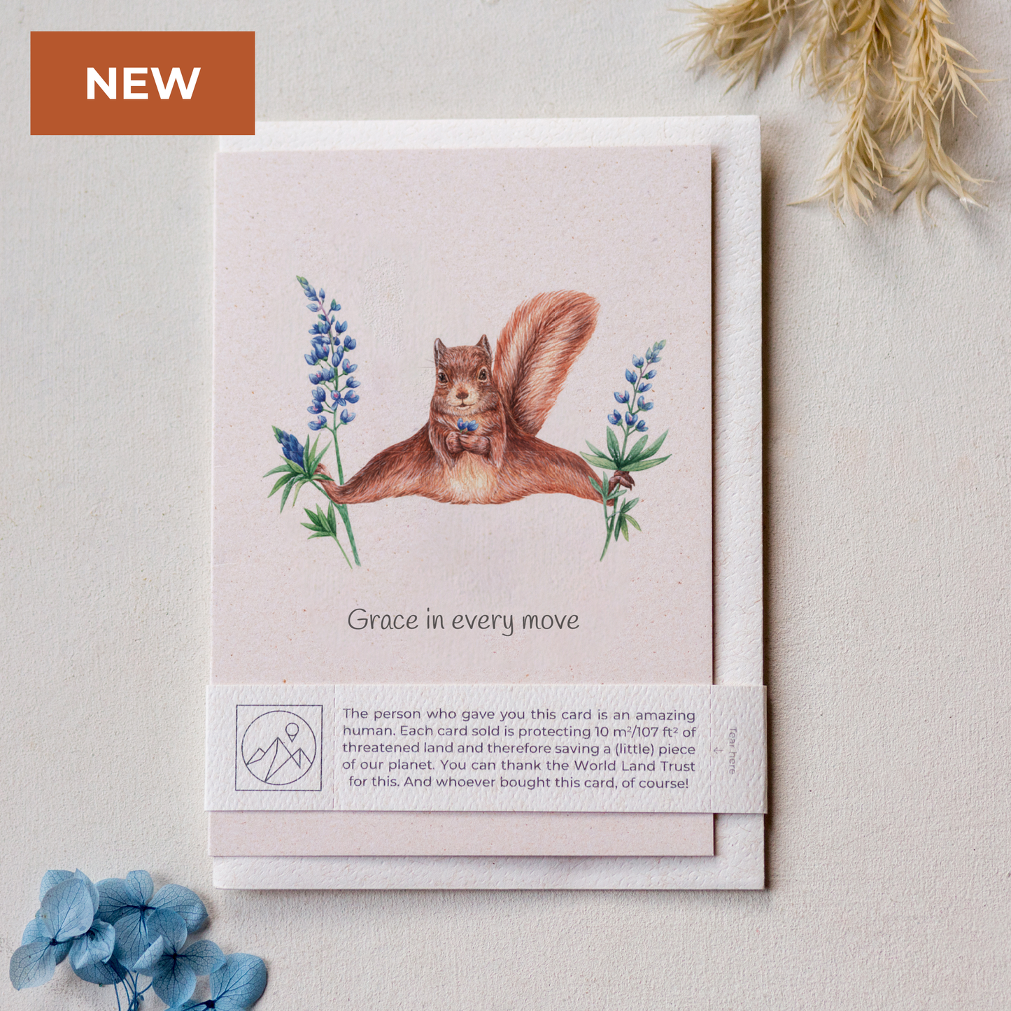 Animal Lover Charity Greeting Card featuring a squirrel and flowers, eco Friendly Online Shop from Brighton and Hove.