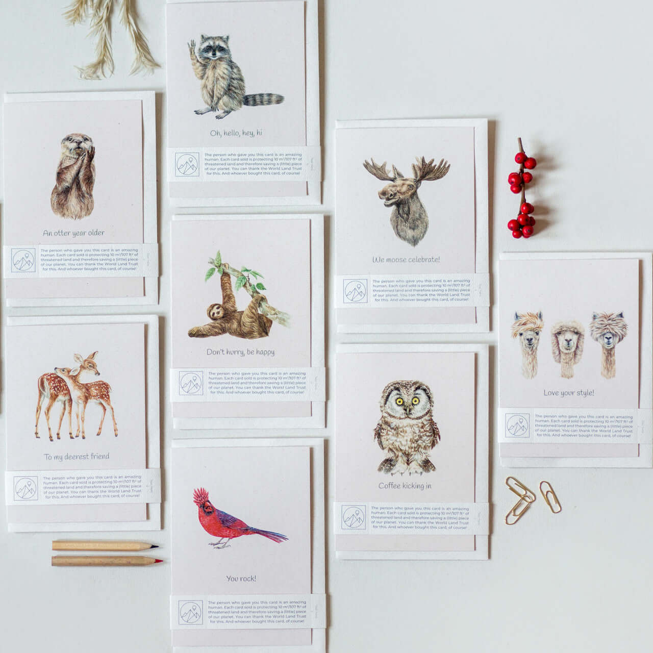Animal Lover Charity Greeting Card collection featuring various animal illustrations, eco-friendly design, UK, Brighton and Hove